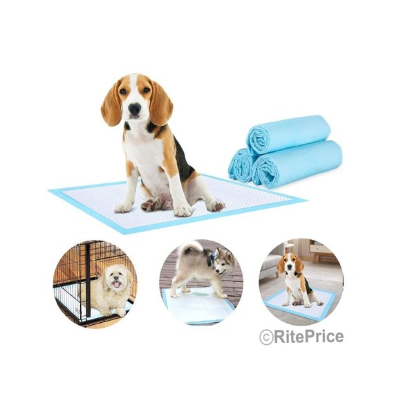 10 PCS (1 Pack) PUPPY PADS PET TRAINING PADS 23.5" x 23.5" With Odor Eliminates - Picture 6 of 7